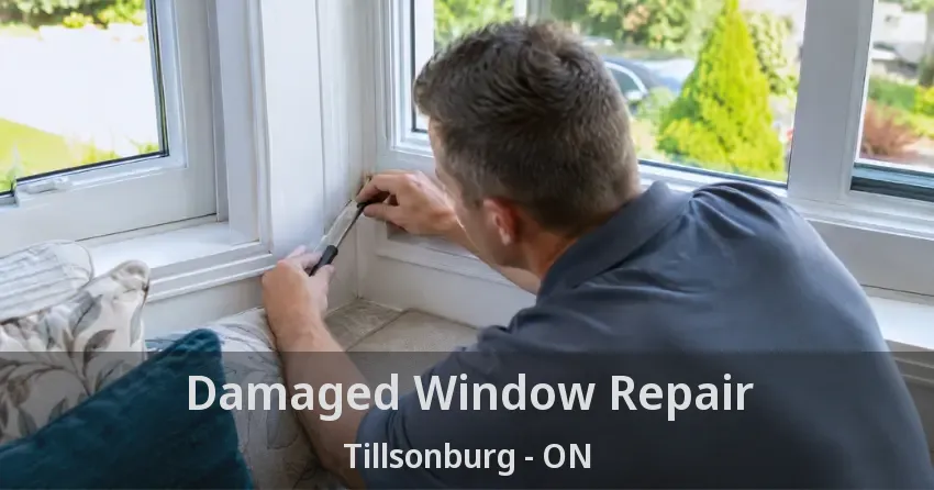 Damaged Window Repair Tillsonburg - ON