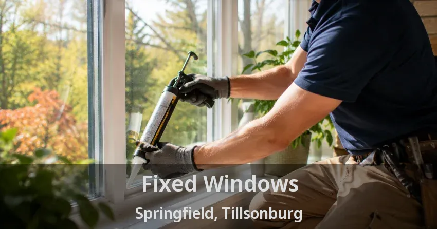 Fixed Windows Springfield, Tillsonburg - ON