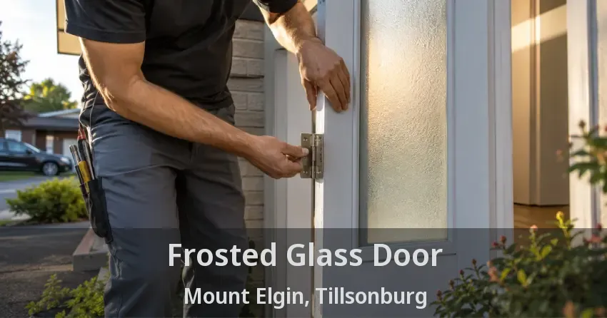 Frosted Glass Door Mount Elgin, Tillsonburg - ON