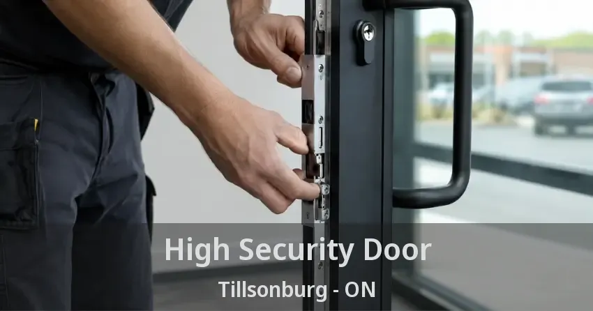 High Security Door Tillsonburg - ON