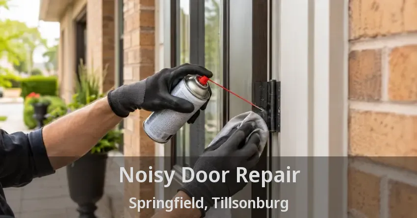 Noisy Door Repair Springfield, Tillsonburg - ON