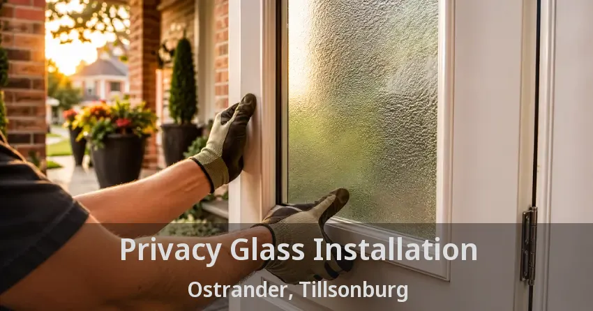 Privacy Glass Installation Ostrander, Tillsonburg - ON