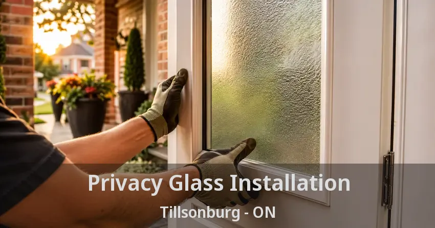Privacy Glass Installation Tillsonburg - ON
