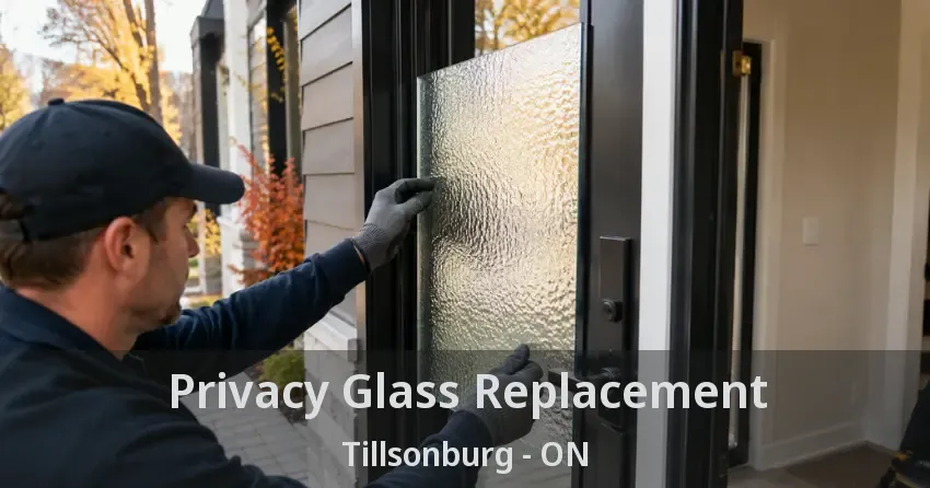 Privacy Glass Replacement Tillsonburg - ON